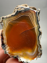 Load image into Gallery viewer, Indonesian Sumatra Agate Pair – Vibrant Banded Chalcedony with Rich Color Zoning | Ethical Lapidary & Collector Display Specimens