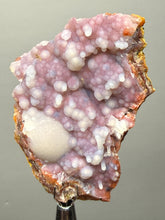 Load image into Gallery viewer, “Goblin Chalcedony” Pink and Red Druzy Botryoidal Stalactites — Tichka Massif, High Atlas, Morocco