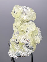Load image into Gallery viewer, Vibrant Yellow Brucite Thumbnail Mineral Specimen | Collector Crystal from Killa Saifullah District in Balochistan Province, Pakistan