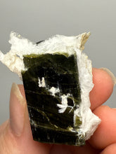 Load image into Gallery viewer, Green Cap Dark Green Stak Nala Tourmaline on Cleavelandite on Matrix – Haramosh Mountains, Pakistan