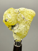 Load image into Gallery viewer, Vibrant Yellow Brucite Thumbnail Mineral Specimen | Collector Crystal from Killa Saifullah District in Balochistan Province, Pakistan