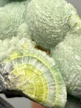 Load image into Gallery viewer, High-Grade Green Wavellite Collectors Specimen - Radiating Botryoidal Crystal Formation - Arkansas, USA