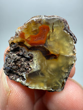 Load image into Gallery viewer, Lot of 9 Small Malawi Agate Halves – Polished Rare Colorful Collector Specimens
