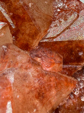 Load image into Gallery viewer, Rare Red Apophyllite Crystal Cluster – High Grade Collector Mineral Specimen | India