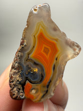 Load image into Gallery viewer, Polished Malawi Agate Half – High-Grade African Banded Agate Display Specimen