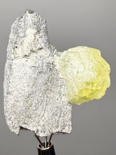 Load image into Gallery viewer, Vibrant Yellow Brucite Thumbnail Mineral Specimen | Collector Crystal from Killa Saifullah District in Balochistan Province, Pakistan