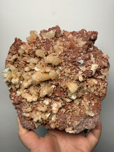 Load image into Gallery viewer, XLG Shiny Peach Stilbite and Mint Green Apophyllite on Druzy Red Heulandite – High-Grade Collector Mineral Specimen from India