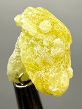Load image into Gallery viewer, Vibrant Yellow Brucite Thumbnail Mineral Specimen | Collector Crystal from Killa Saifullah District in Balochistan Province, Pakistan