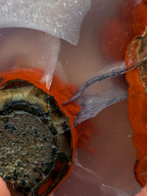 Load image into Gallery viewer, Rare Moroccan Orbicular Agate Collected by Indigenous Nomads | Ancient Beauty from the Sahara