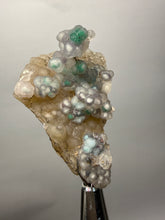 Load image into Gallery viewer, Blue-Green Chrysocolla in Botryoidal Chalcedony Cabinet Specimen | Indonesia