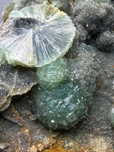 Load image into Gallery viewer, High-Grade Green Wavellite Collectors Specimen - Radiating Botryoidal Crystal Formation - Arkansas, USA
