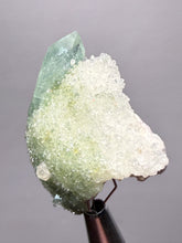 Load image into Gallery viewer, Luminous Mint Apophyllite with Glittering Druzy Sugar Quartz – India
