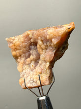 Load image into Gallery viewer, “Goblin Chalcedony” Pink and Red Druzy Botryoidal Stalactites — Tichka Massif, High Atlas, Morocco