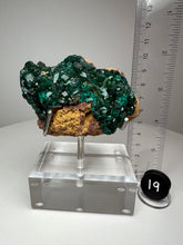 Load image into Gallery viewer, Dioptase Cluster from Congo • High Grade • Mineral Collector’s Specimen Showpiece
