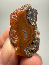Load image into Gallery viewer, Lot of 9 Small Malawi Agate Halves – Polished Rare Colorful Collector Specimens