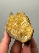 Load image into Gallery viewer, Golden Glow Calcite Cluster | Maharashtra, India