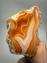 Load image into Gallery viewer, High-Grade Indonesian Sumatra Agate Pair – Vibrant Banded Chalcedony with Rich Color Zoning | Ethical Lapidary & Collector Display Specimens