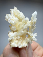 Load image into Gallery viewer, High-Grade Coral Aragonite Crystal Specimen – Wenshan Mine, Yunnan, China