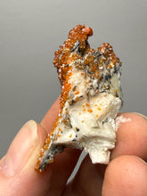 Load image into Gallery viewer, Natural Vanadinite on Matrix | Collector Mineral Specimen | Morocco