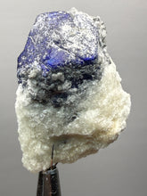 Load image into Gallery viewer, Afghanite & Lazurite on Matrix Collector Display Specimen | Badakhshan Region, Afghanistan