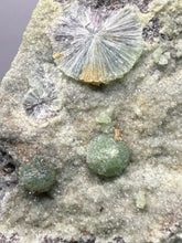 Load image into Gallery viewer, High-Grade Green Wavellite Collectors Specimen - Radiating Botryoidal Crystal Formation - Arkansas, USA