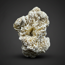 Load image into Gallery viewer, Desert Rose Selenite (Gypsum) — Mineral Display Specimen | Mexico