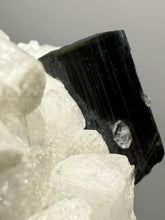 Load image into Gallery viewer, Dark Green Cap Stak Nala Tourmaline with Cleavelandite Matrix – Haramosh Mountains, Pakistan