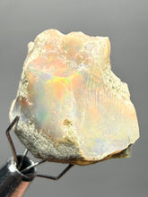 Load image into Gallery viewer, Precious Opal with Color Play | Welo, Ethiopia