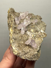Load image into Gallery viewer, High-Grade Vera Cruz Amethyst Cluster on Andesite Matrix | Piedra Parada (Las Vigas District), Veracruz, Mexico