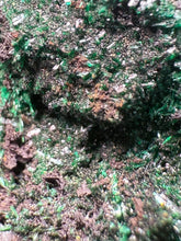 Load image into Gallery viewer, Brochantite Collector Mineral Specimen – Vivid Green Copper Crystals from Morocco