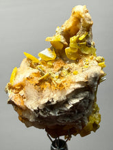Load image into Gallery viewer, High-Grade Orange Wulfenite Collector Display Specimen | La Morita Mine, Chihuahua, Mexico