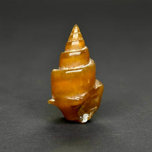 Load image into Gallery viewer, Agatized Gastropod Fossil Specimen | Morocco