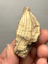 Load image into Gallery viewer, Premium Sumatra Agate (Banded Chalcedony) Display Specimen | Indonesia