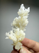 Load image into Gallery viewer, High-Grade Coral Aragonite Crystal Specimen – Wenshan Mine, Yunnan, China
