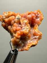 Load image into Gallery viewer, “Goblin Chalcedony” Pink & Orange Druzy Botryoidal Stalactites— Tichka Massif, High Atlas, Morocco