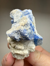 Load image into Gallery viewer, Afghanite Lazurite Specimen | Deep Blue Lapis-Grade Crystal on Matrix | Collector Display Mineral