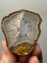 Load image into Gallery viewer, Natural Laguna Agate Collector Mineral Specimen | Chihuahua, Mexico