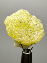 Load image into Gallery viewer, Vibrant Yellow Brucite Thumbnail Mineral Specimen | Collector Crystal from Killa Saifullah District in Balochistan Province, Pakistan