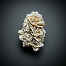 Load image into Gallery viewer, Desert Rose Selenite (Gypsum) — Mineral Display Specimen | Mexico