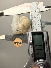 Load image into Gallery viewer, Rare Botryoidal Yellow Fluorite on Quartz Matrix Collector Mineral Specimen – Maharashtra, India