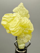 Load image into Gallery viewer, Vibrant Yellow Brucite Thumbnail Mineral Specimen | Collector Crystal from Killa Saifullah District in Balochistan Province, Pakistan