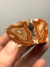 Load image into Gallery viewer, Premium Sumatra Agate Pair (Banded Chalcedony) Display Specimen | Indonesia