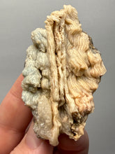Load image into Gallery viewer, Chalcedony Quartz Rose Agate Collector Mineral Specimen – Morocco