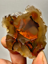 Load image into Gallery viewer, Turkish Agate with Vibrant Microscopic Rainbow Inclusions - Turkey