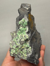 Load image into Gallery viewer, High-Grade Green Wavellite Collectors Specimen - Radiating Botryoidal Crystal Formation - Arkansas, USA