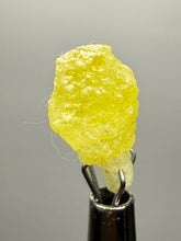 Load image into Gallery viewer, Vibrant Yellow Brucite Thumbnail Mineral Specimen | Collector Crystal from Killa Saifullah District in Balochistan Province, Pakistan