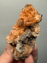 Load image into Gallery viewer, Chalcedony Quartz Rose Agate Collector Mineral Specimen – Morocco
