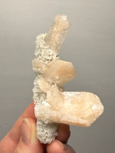 Load image into Gallery viewer, Gemmy Stilbite Crystals on Volcanic Stalactite — Deccan Traps, Maharashtra, India