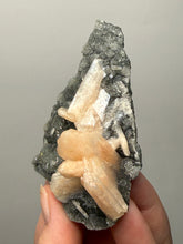 Load image into Gallery viewer, Pink Stilbite Druzy on Botryoidal Black Chalcedony | India | High-Grade Mineral Collector Specimen
