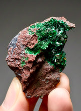Load image into Gallery viewer, Brochantite Collector Mineral Specimen – Vivid Green Copper Crystals from Morocco